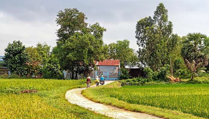 Plantation Visits & Local Village Tours