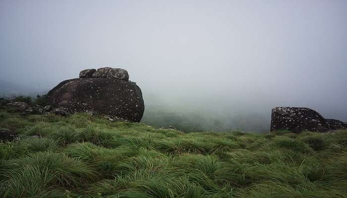 Ponmudi, Kerala