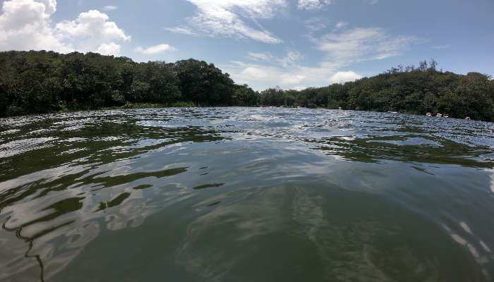 Boating on the Pookode Lake is one of the most enjoyable things to do in Wayanad