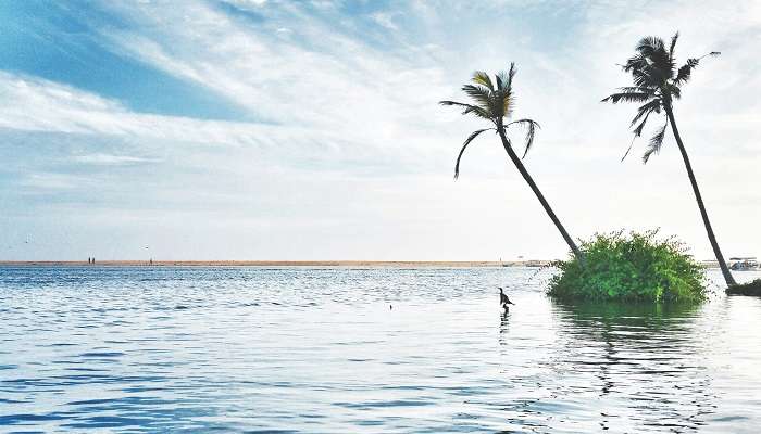 Poovar is among the best places to visit in Kerala in December