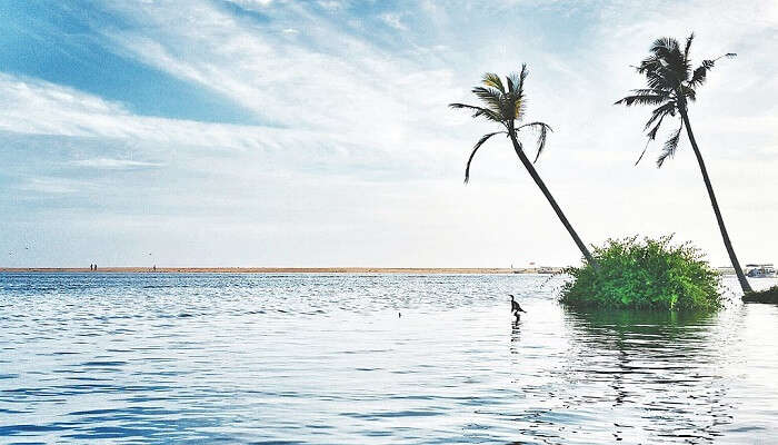Poovar is a scenic destination in Kerala.