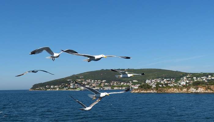 Prince Islands are among the most relaxing places to visit near Istanbul