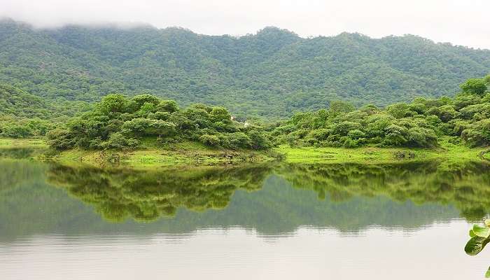 Ranakpur Dam – See The Gushing Water