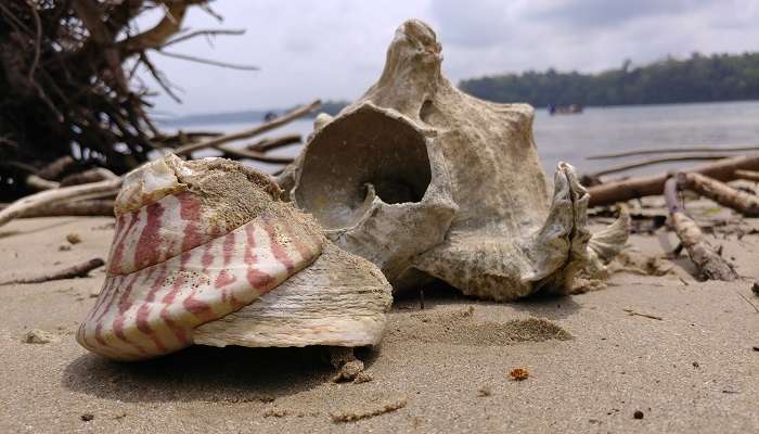 Red Skin Island is full of picturesque and captivating beaches, one of the must-see places to visit in Andaman in July.