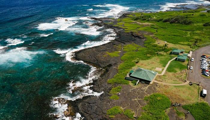 visit the satellite island in Tasmania in march
