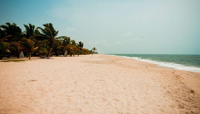 Visit Payyoli Beach - One of the best things to do in Calicut