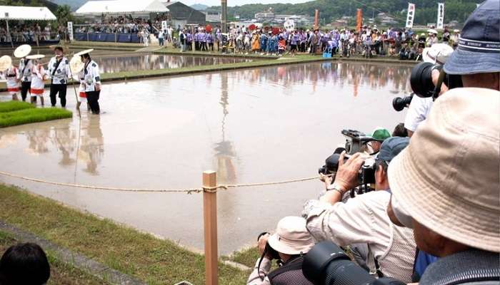 Rice Planting Festival in June in Japan
