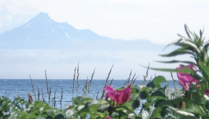 Rishiri And Rebun islands in June in Japan