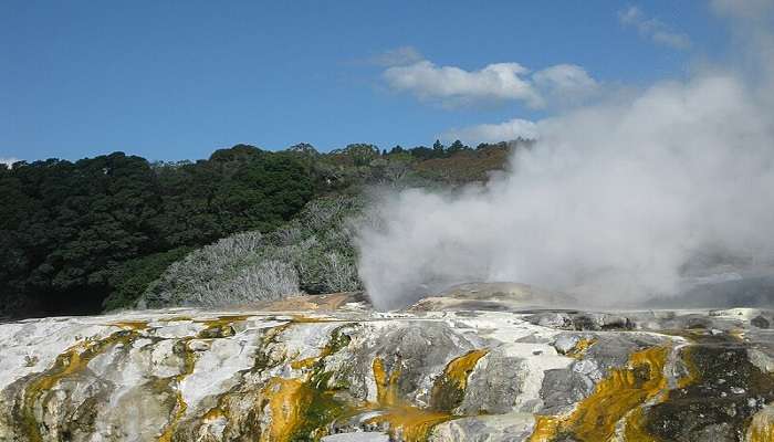 Rotorua - New Zealand Tourist Attractions