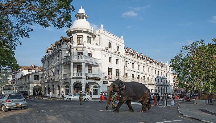 Kandy is the cultural capital of Sri Lanka and definitely worth a visit by tourists