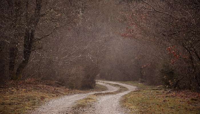 one of the mysterious road in S shape.