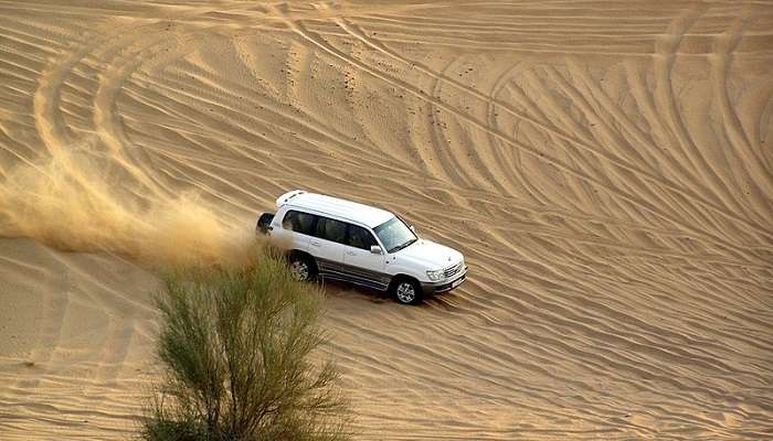 Safari in the biggest desert in the world