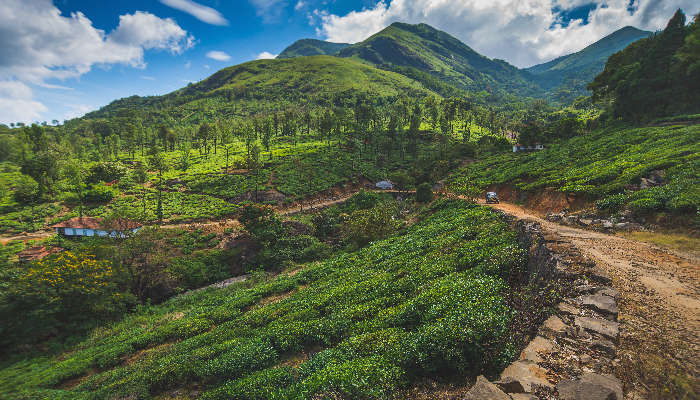 Enjoy adventurous trekking in Sahibkkunnu And Valley Of Clouds.