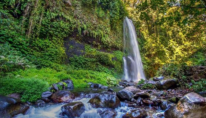 Senaru Waterfalls is the best Places To Visit Near Marine Park Gianyar Bali Within 200 Kms