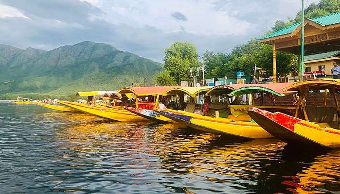 Shikara_Dal_Lake, things to do in srinagar