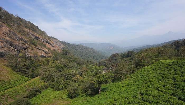 Ponmudi reservoir dam view