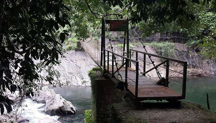 Silent Valley National Park, Kerala