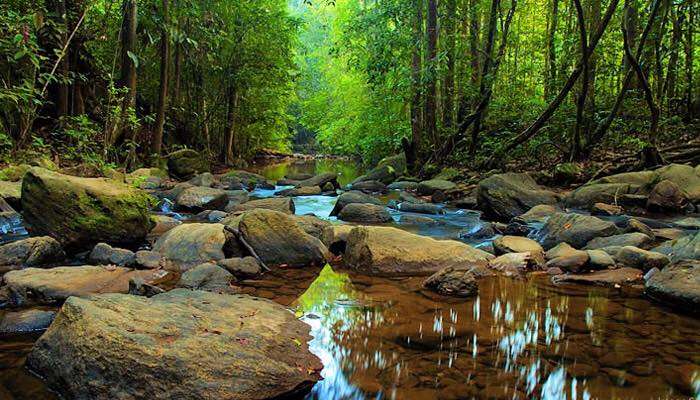  Sinharaja Forest Reserve, among Sri Lanka tourist places