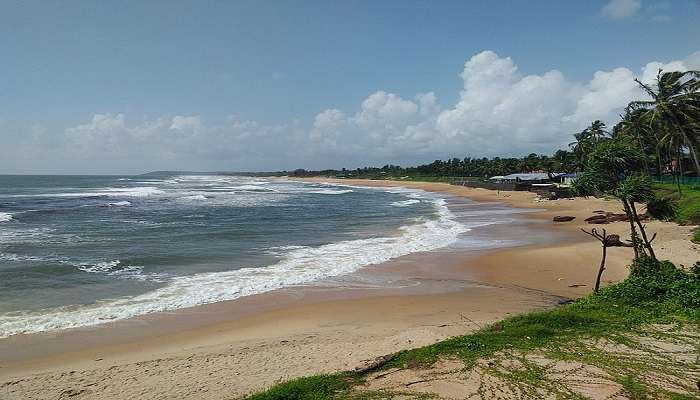 Playing with dolphins is among the offbeat things to do in Goa.