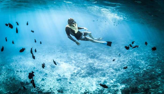 Go snorkelling in India.