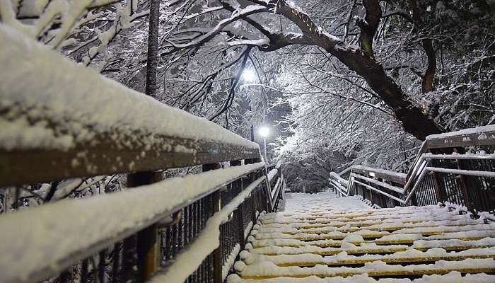 Explore the mesmerising beauty of Japan in January