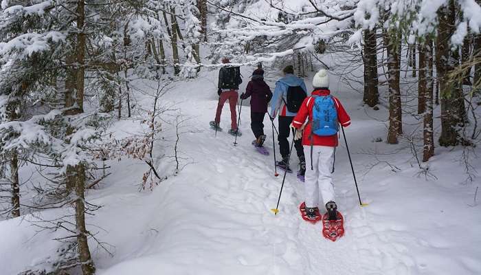 Snowshoeing In Gulmarg