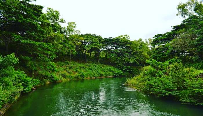 Known for its tea and coffee plantations, and its exotic and lush greenery, Coorg is one of the best honeymoon places in India in July.