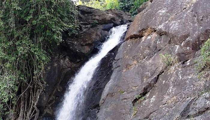 Soochipara Waterfalls—One of the Most Scenic Places to Visit in Wayanad in May 