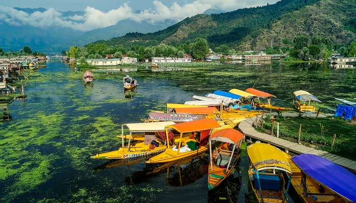 Srinagar is among the best places to visit in India in november