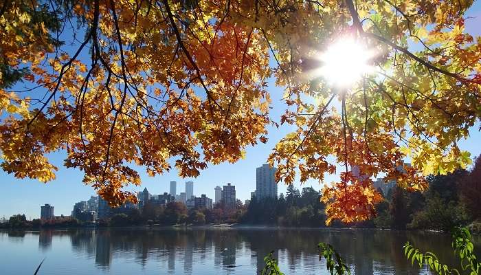 A delightful view of Stanley Park