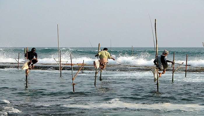  enjoy the traditional method of fishing.