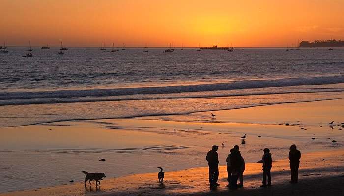 Butterfly Beach is one of the best beaches in Goa