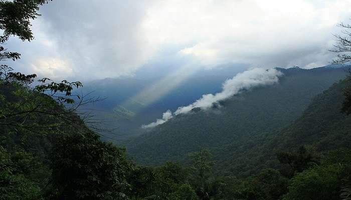 Discovering the Magical Places to Visit in Kerala during Monsoon