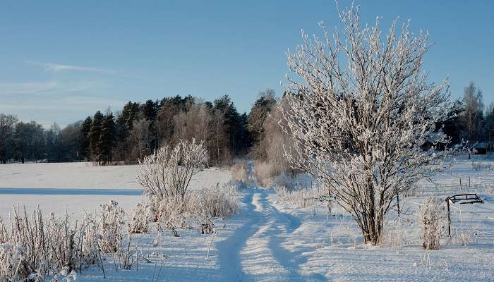 Sweden in December View