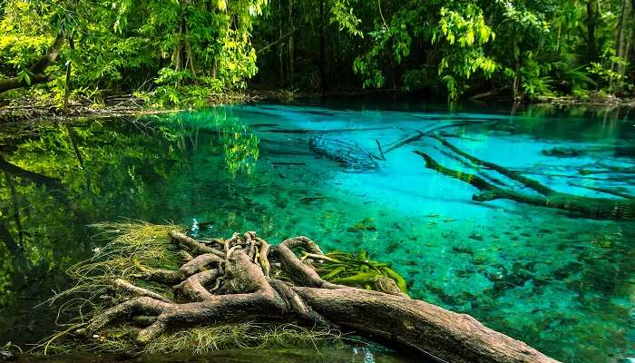 Emerald Pool in Thailand.