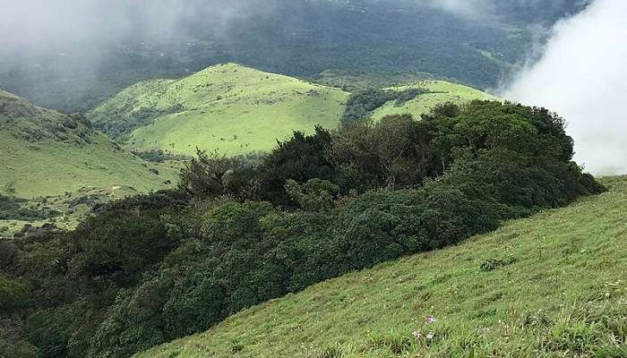 Tadiandamol Peak, Things To Do In coorg