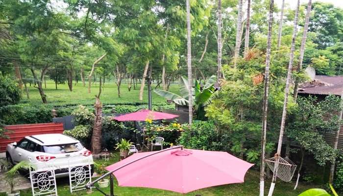 Homestay by the tea Garden