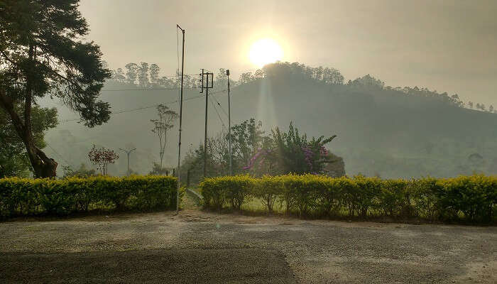 An image of the most beautiful sunrise in Munnar. 
