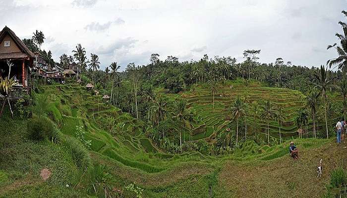 a top places to visit near nungnung waterfall bali in March.