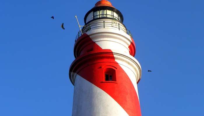 The Thangassery Lighthouse is very picturesque and totally Instagram worthy 