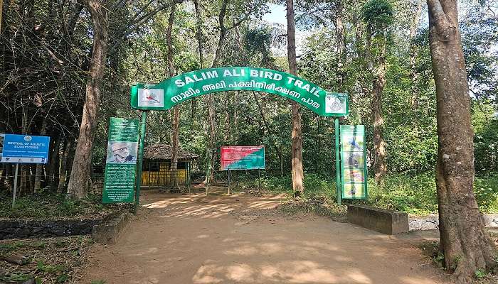 Thattekad Bird Sanctuary