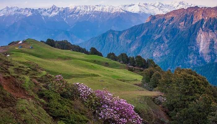 The Great Himalayan National Park