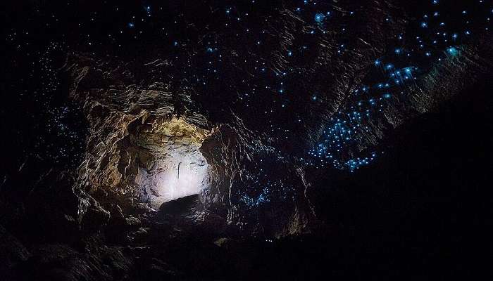 visit waitomo in New Zealand in January. 