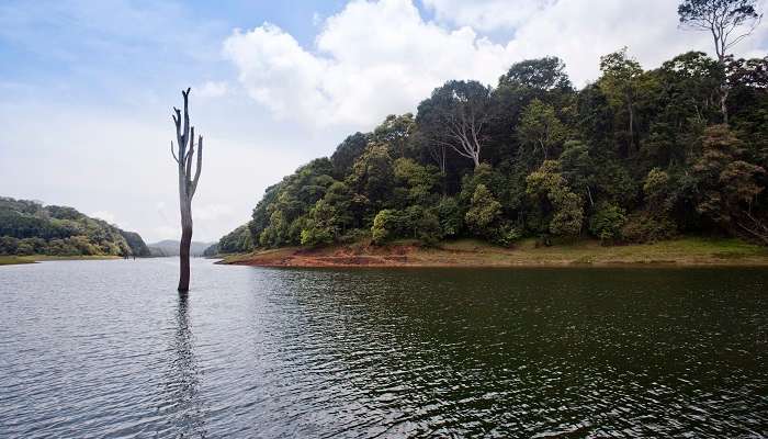 Thekkady