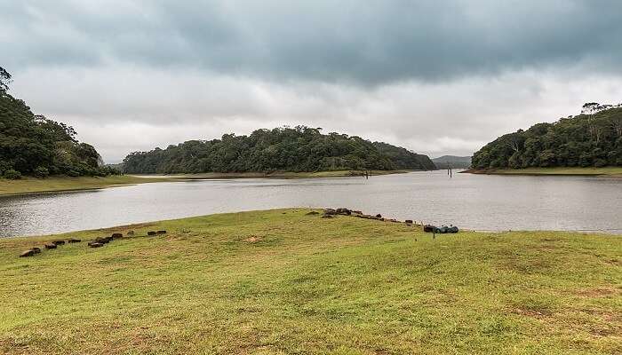 Kerala in November—Thekkady’s Periyar Lake boat safari in crisp, cool climate.