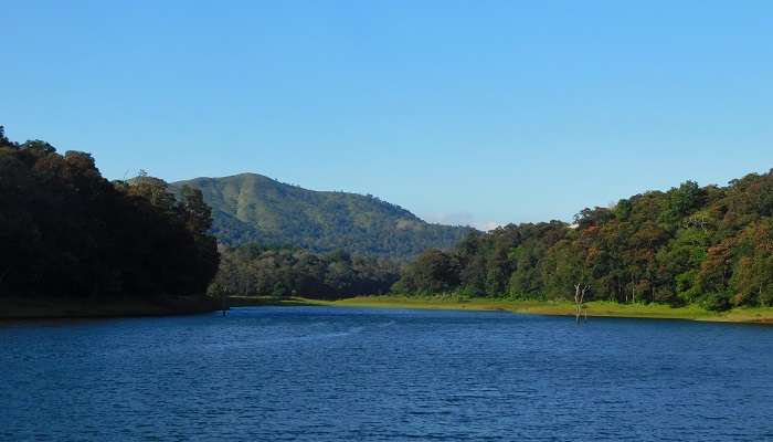 Thekkady is among the best places to visit in Kerala in December