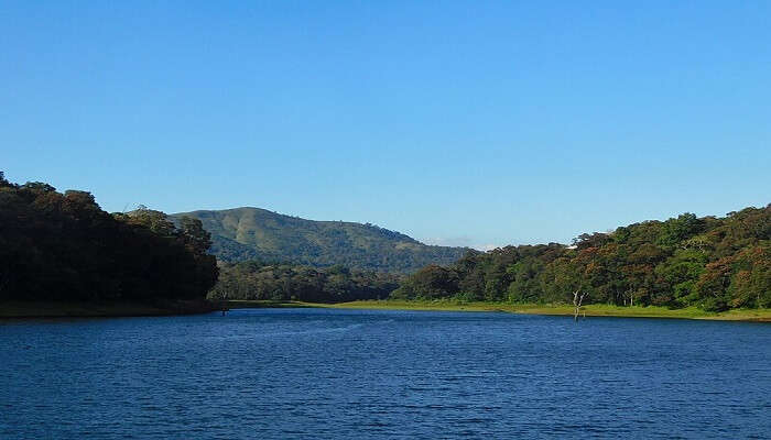 Thekkady in Kerala is a beautiful spot for honeymoon packages in Kerala.