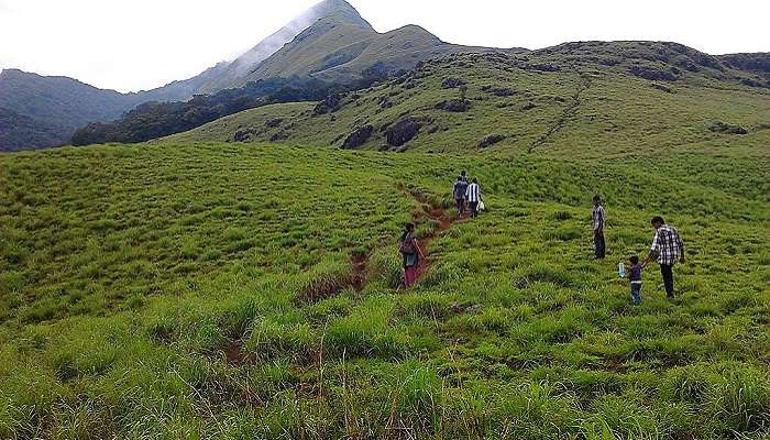 A group of people trekking on Chembra peak