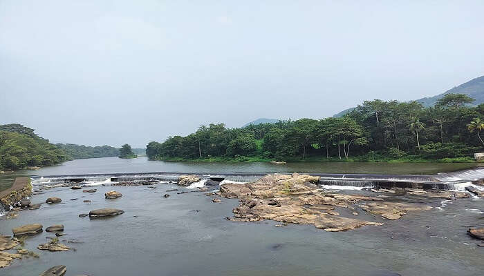 Thumboormuzhi Dam and Butterfly Garden, a peaceful spot near Athirapally Waterfalls.