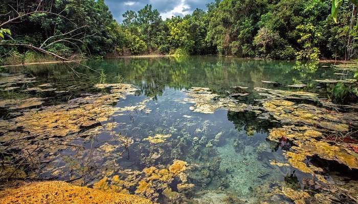 Thung Teao Forest Natural Park, Things To Do In Krabi